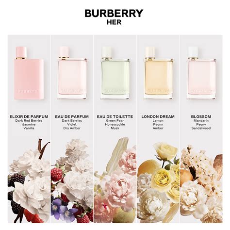 burberry her elixir scent notes